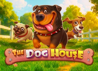 The Dog House İstatistik Raporu | 96.51% RTP